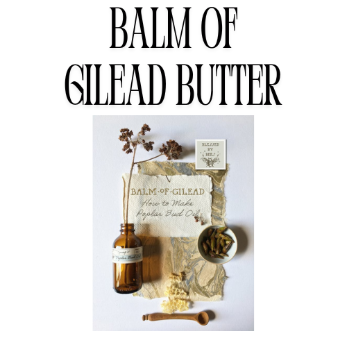 Balm of Gilead Butter